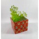 Gift box with cellophane lining 16*16cm