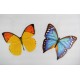 Colored hanging butterfly 20cm