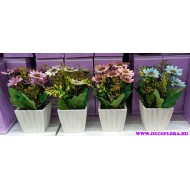 Flower decoration " Queen of south american Pampas" Flower decoration " Queen of south american Pampas"