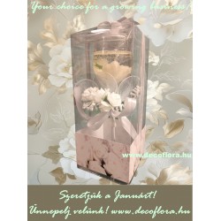 Gel candle  Gel candle