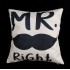 Díszpárna Mr Right