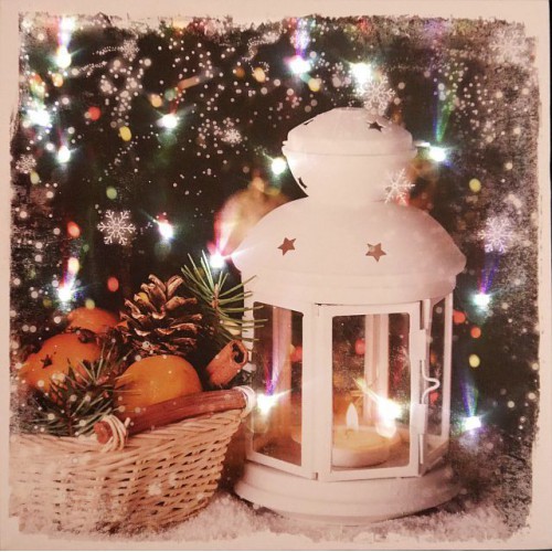 https://decoflora.hu/image/cache/catalog/B%C5%90RDI/2018%20Kar%C3%A1csony/led_kep_lampasi_40x40_b32932-500x500.jpg