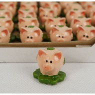Fortune pig Fortune pig