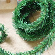 Pine 4 m Pine 4 m