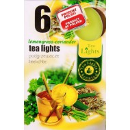 Mécses illatos Citromfű-koriander 6db/doboz