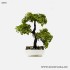 Decor plante Bonsai 10*22 cm