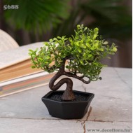 Növénydekor Mini Bonsai 12*6,5 cm Növénydekor Mini Bonsai 12*6,5 cm