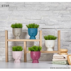 Növénydekoráció Dojna 15*10 cm Növénydekoráció Dojna 15*10 cm