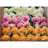 Rose Cali 5 cm Rose Cali 5 cm
