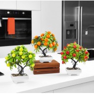 Flower decoration Bonsai fruitplants