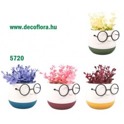 Dekor növény, műanyag szemüveges kaspóban 15*10 cm Dekor növény, műanyag szemüveges kaspóban 15*10 cm