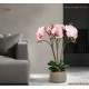 Műnövény - Orchidea - rózsaszín - 58 cm Műnövény - Orchidea - rózsaszín - 58 cm