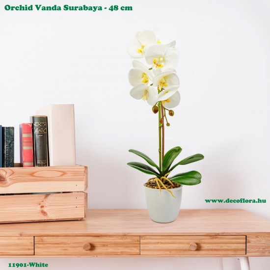 Műnövény - Orchidea Vanda Surabaya - fehér - 48 cm Műnövény - Orchidea Vanda Surabaya - fehér - 48 cm