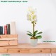 Műnövény - Orchidea Vanda Surabaya - fehér - 48 cm Műnövény - Orchidea Vanda Surabaya - fehér - 48 cm