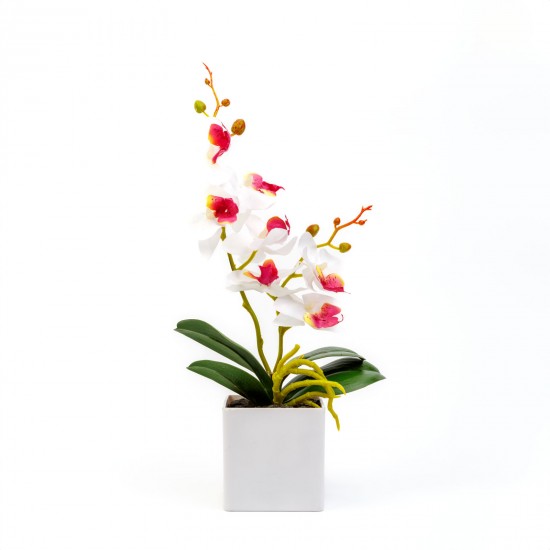 Műnövény - Orchidea Malai - 3 féle - 37 cm Műnövény - Orchidea Malai - 3 féle - 37 cm