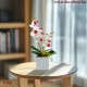 Műnövény - Orchidea Malai - 3 féle - 37 cm Műnövény - Orchidea Malai - 3 féle - 37 cm