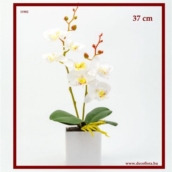Műnövény - Orchidea Malai - 3 féle - 37 cm Műnövény - Orchidea Malai - 3 féle - 37 cm