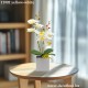 Műnövény - Orchidea Malai - 3 féle - 37 cm Műnövény - Orchidea Malai - 3 féle - 37 cm