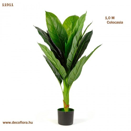 Műnövény - colocasia - 1,00 m Műnövény - colocasia - 1,00 m