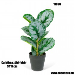 Artificial plant Calathea green-white 34*9 cm Artificial plant Calathea green-white 34*9 cm