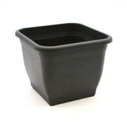 Square pot Italia  Square pot Italia