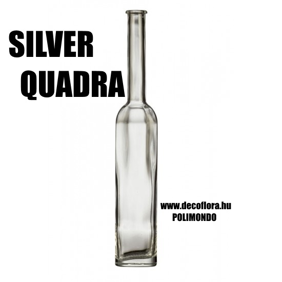 Bottle  Silver Quadra