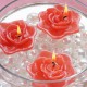 Floating candles Rose