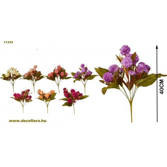 Peonia 11 fejes