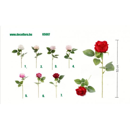 Trandafir Cali 52 cm