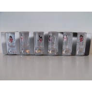 Dekorált pálinkás szett - Részeg pofa és vicces feliratok