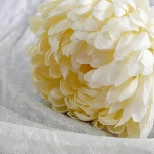 Műnövény, művirág