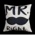Díszpárna Mr Right