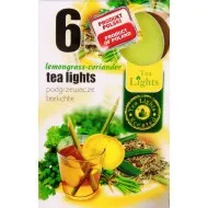 Mécses illatos Citromfű-koriander 6db/doboz