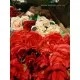 Rózsa 54 cm 7*7 cm  fej