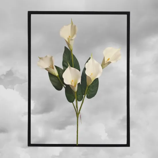 Kála szálas 5 fejes - polifoam kála