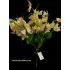 Nárcisz csokor 12 szállal és 36 virágfejjel  