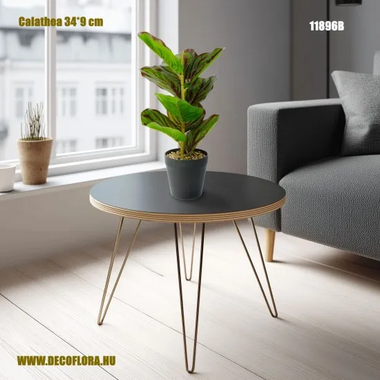 Műnövény Calathea zöld-fekete 34*9 cm