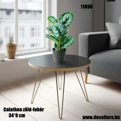 Műnövény Calathea zöld-fehér 34*9 cm