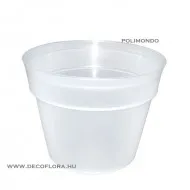 Orchidea kaspó átlátszó