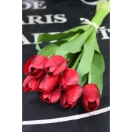 Gumitulipán csokor 10 szálas 