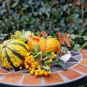 Őszi dekoráció 2025